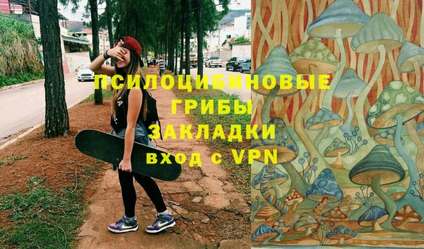 прущая мука Бородино