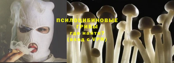 круглые Бронницы